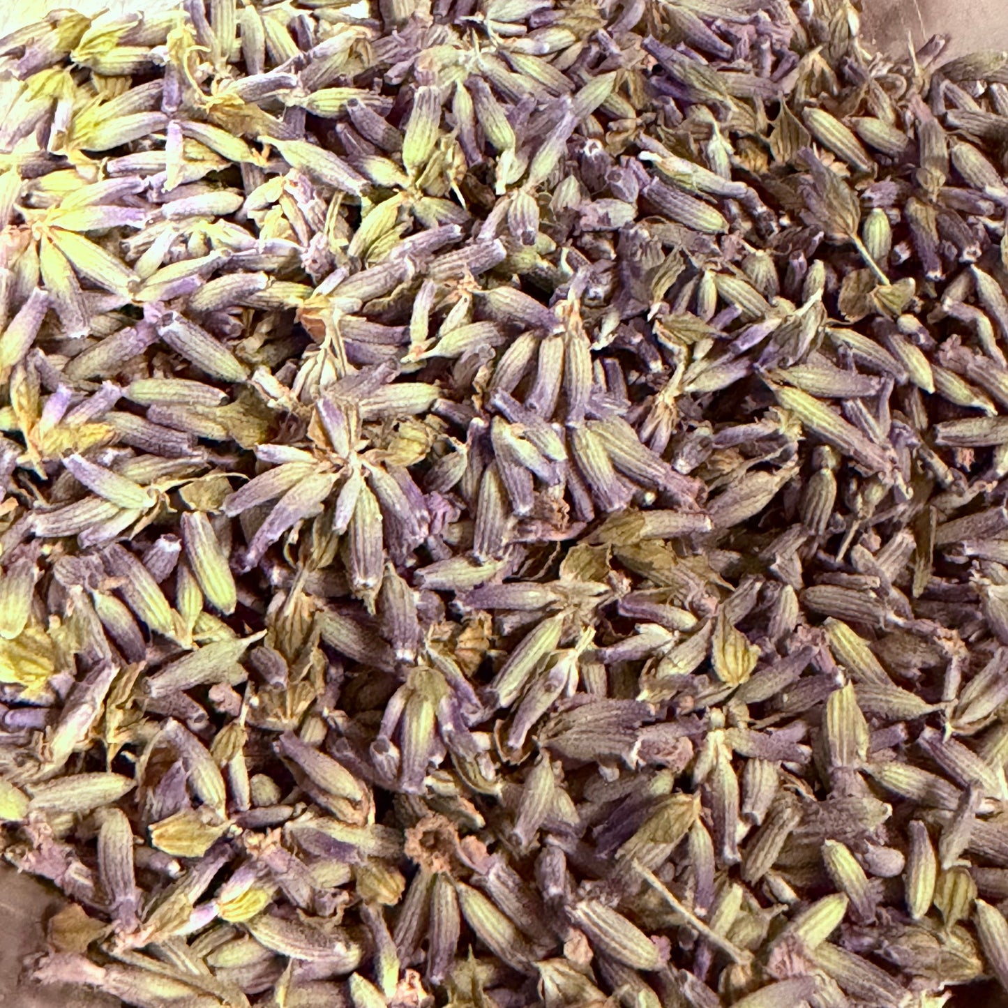 Lavender Bliss Bath Salts